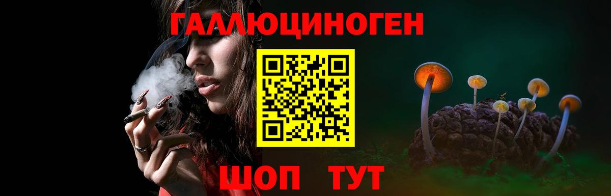 Галлюциногенные грибы прущие грибы Мценск